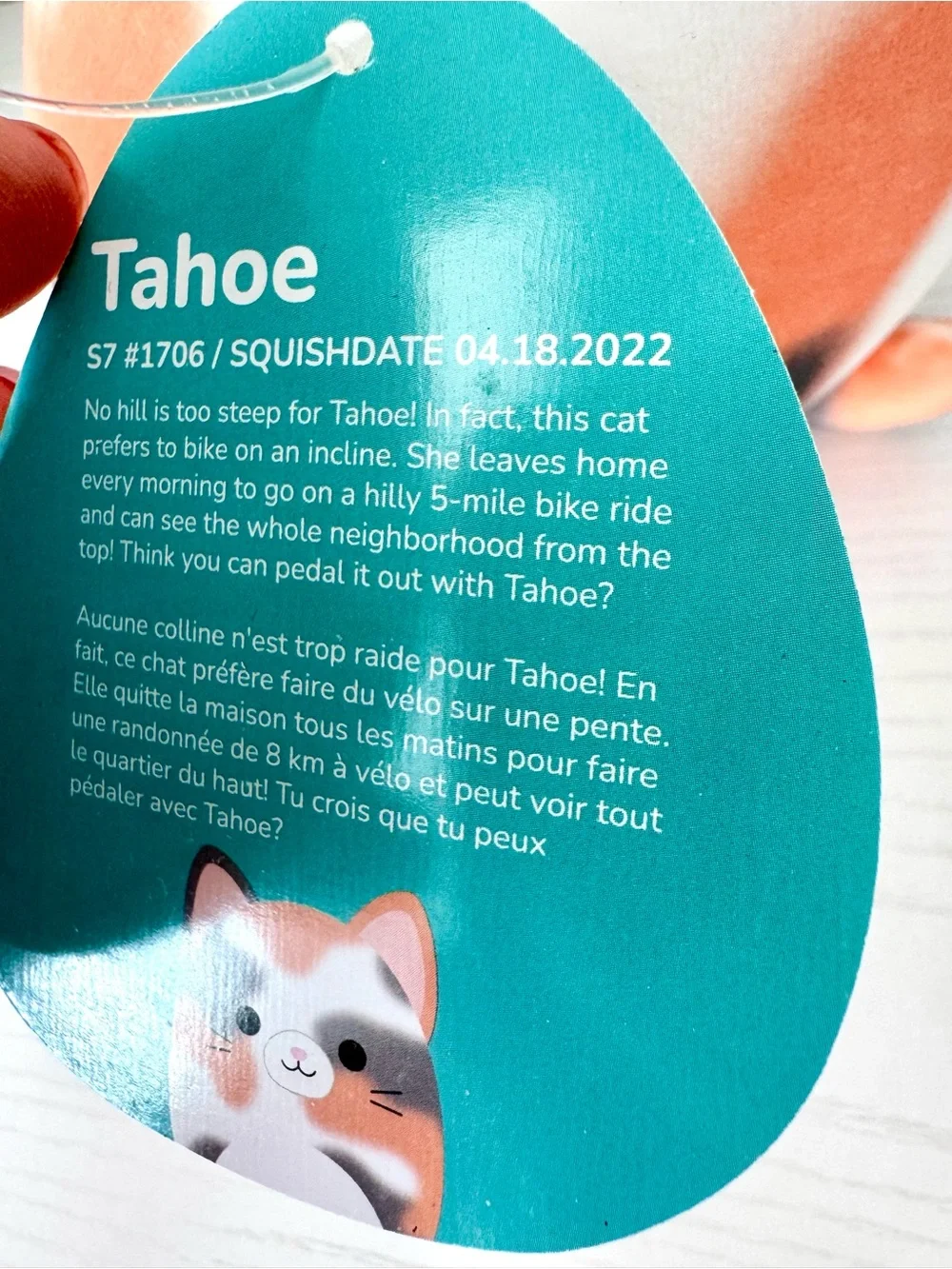 Squishmallows Tahoe the Tortoiseshell Cat Plush Toy in Calico Pattern 8” NWT